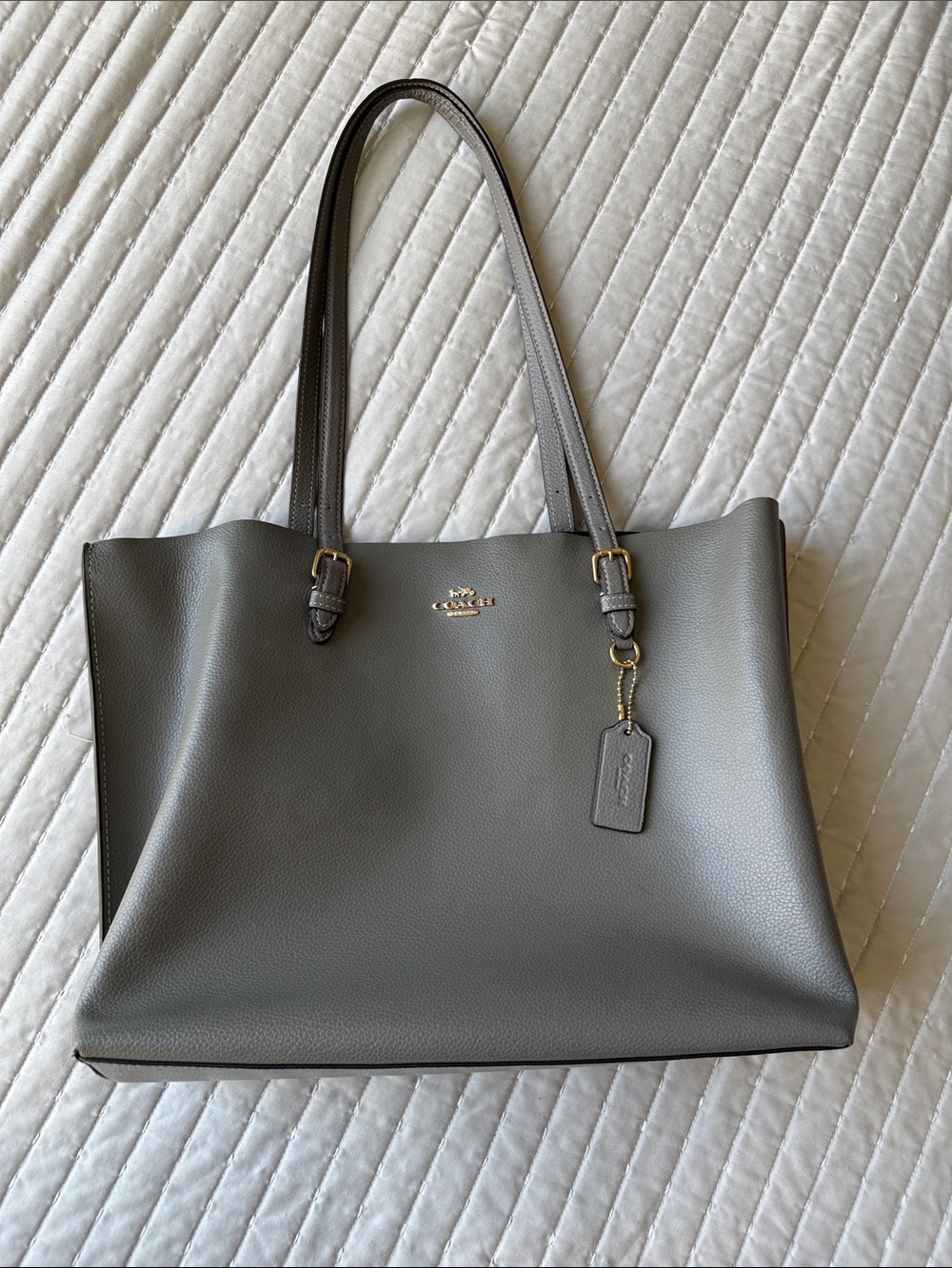 Coach Mollie Tote